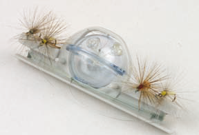 mosca2